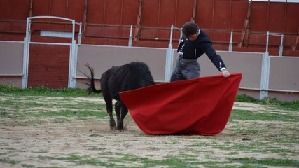 Bullfighting Madrid, bullfighter in a bullring